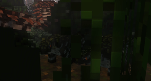 image-2.webp