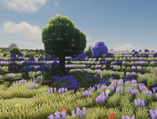 Screenshot 2026-08-06 223900.png