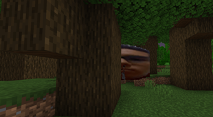Captura de tela 2026-08-06 212908.png