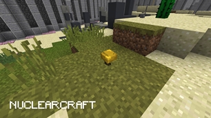forge4.jpg