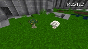 forge6.jpg