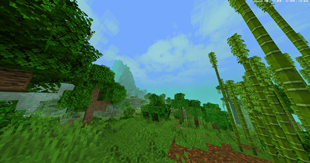 jungle