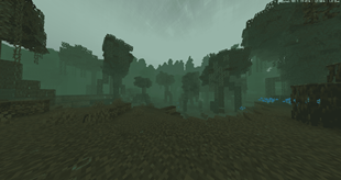 swamp