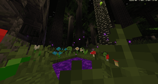 twilight forest