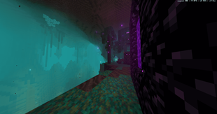 Nether