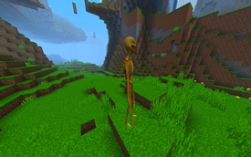 minecraft_screenshot_5_under_2mb.jpg