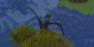Don't look at him.