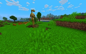minecraft_screenshot_2_under_2mb.jpg