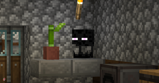 Enderman Head