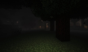 Just a forest