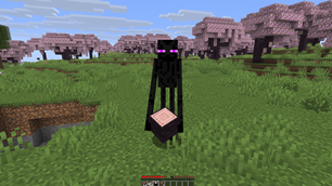 Screenshot 2026-08-08 222633.png
