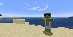 Zombie variant of beach biome