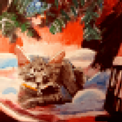 mc kittens first xmas.png