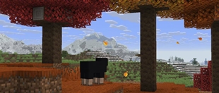 26.3 Snapshot 5