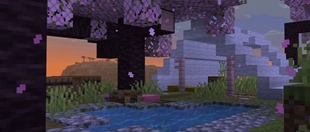 26.3 Snapshot 6