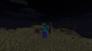 Zombie with a Shield