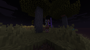 Zombified Piglin with a Shield