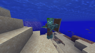 Drowned with a Shield