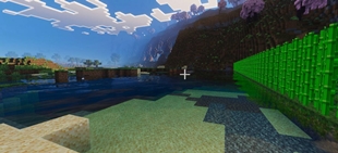33606.jpg