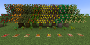 Trees and Saplings