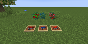 Berries
