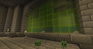 Slime Farm