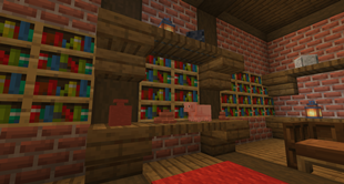 Villager's Shelves