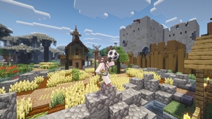 village2.jpg