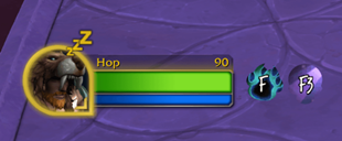 bearicon.png