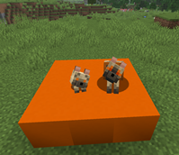 Striped wolves