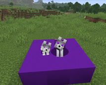 Ashen wolves
