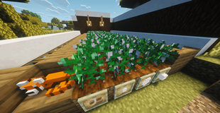 cotton (1).png