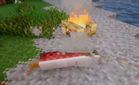 Cooking Dinner