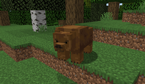 Grizzly bears are rare, but dangerous if encountered.
