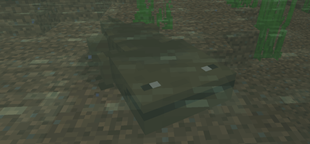 Giant salamanders spawn outside of water, but will seek it out if nearby.