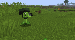 chilling in the plains