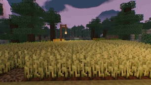 Shader preview