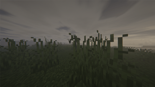 2026-08-10_17.53.59.png