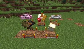 All Husbandry trophies