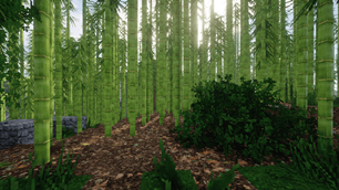 bamboo