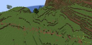 Eroded Pathway