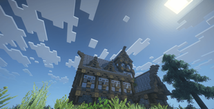 Medieval House