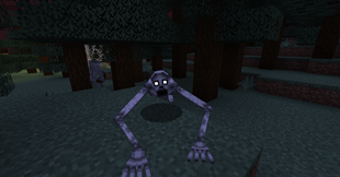 entity.png