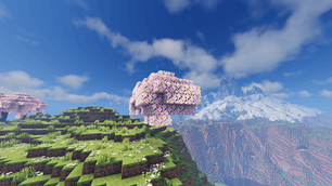2026-08-11_17.02.10.png