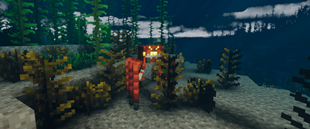 Spidercrab.png