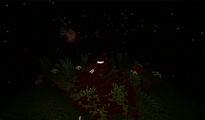 evidence_2
