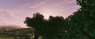 2026-08-11_18.00.10_optimized_2000.png