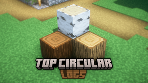 Capa 1.png