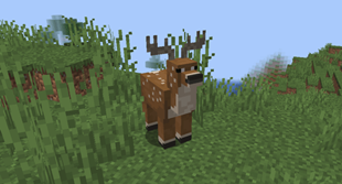 Deer spawn in most woodlands, and are a favored prey of bears.