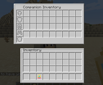 Companion Inventory!